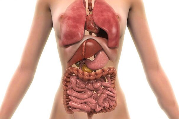 parassiti nel corpo umano