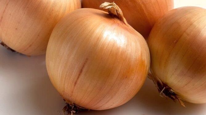 cipolla per i vermi