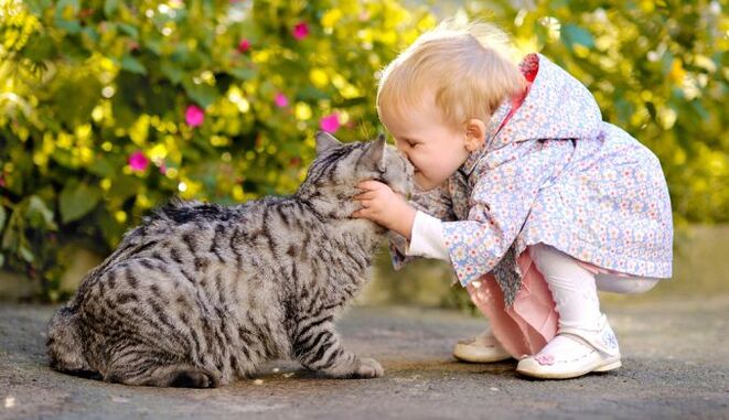 un bambino bacia un gatto e viene infettato dai vermi