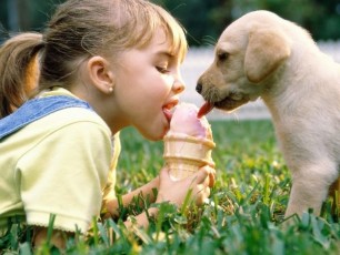 L'infestazione attraverso ammessi animali domestici